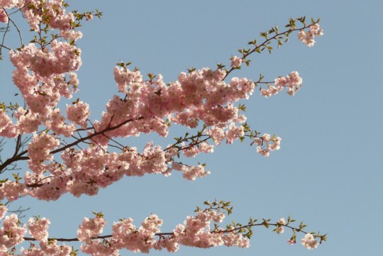 冬酿花雕酒，冬日里的醇香秘境探索